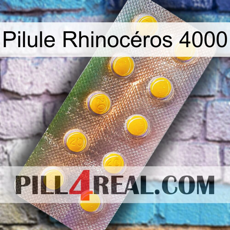 Pilule Rhinocéros 4000 new11